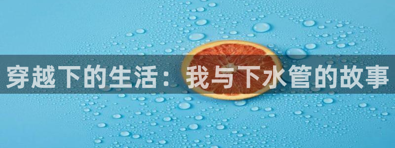 球盟会和中欧合作吗