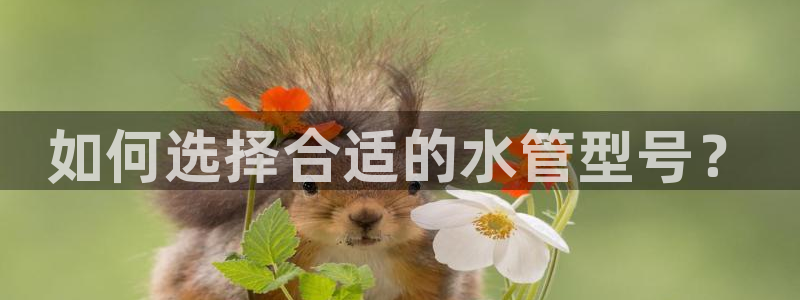 球盟会优惠领取网站是真的吗
