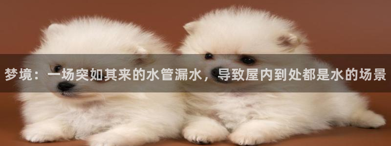 球盟会qmh网页版登录