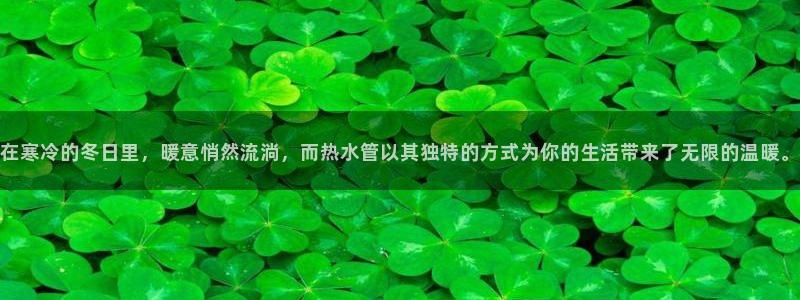 球盟会最新地址备用