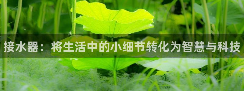 球盟会官方网站app