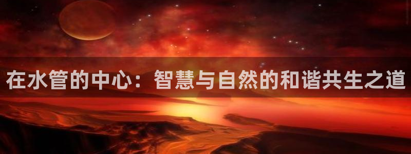 球盟会几点玩合适