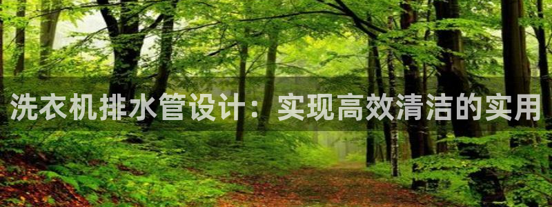 球盟会官方网站入口