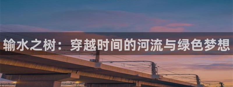 球盟会平台会黑单吗