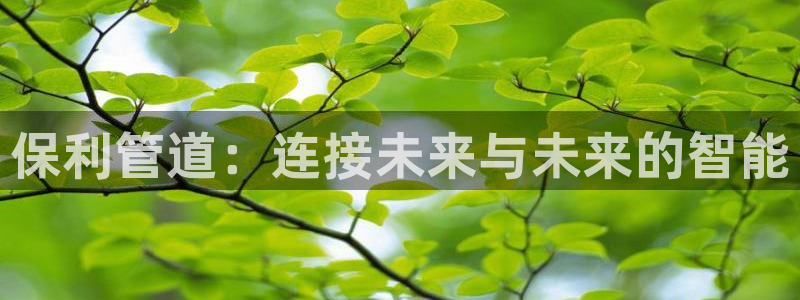 球盟会登录入口