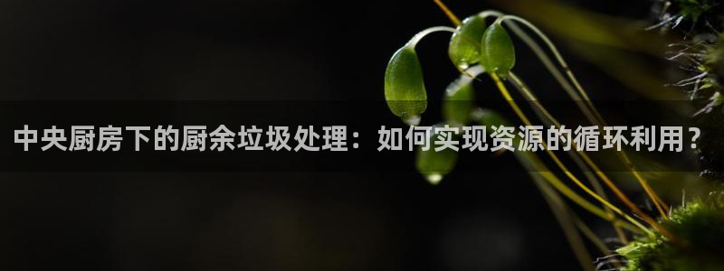 球盟会体育app官方网站