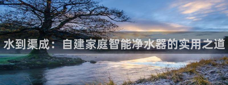 球盟会下款快吗