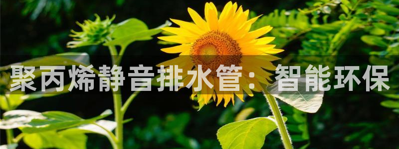 球盟会网页登录入口