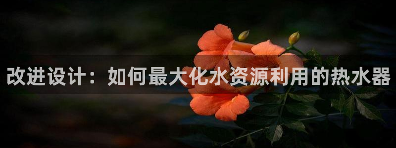 球盟会官方下载