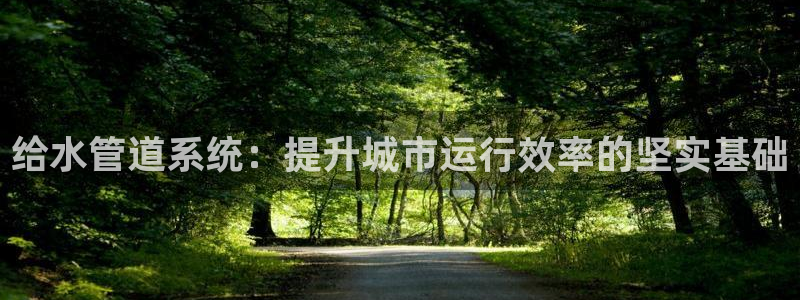 球盟会进不去吗