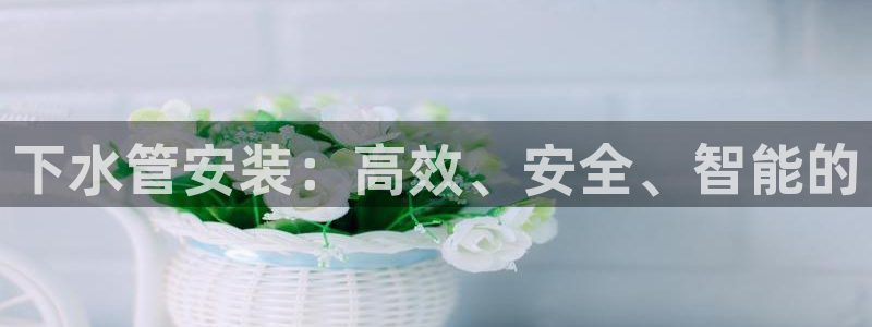 球盟会app最新地址下载