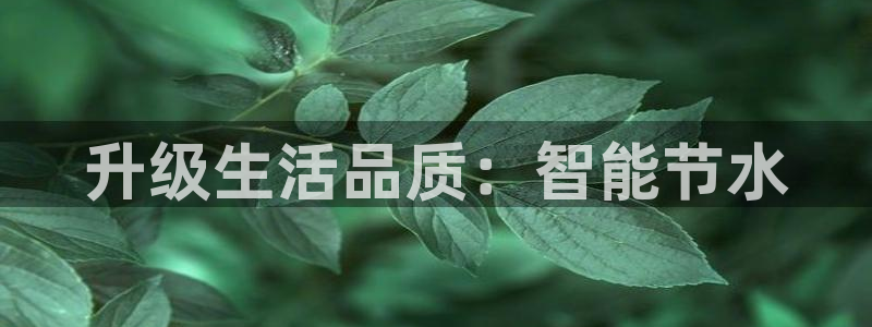 球盟会进不去球员吗