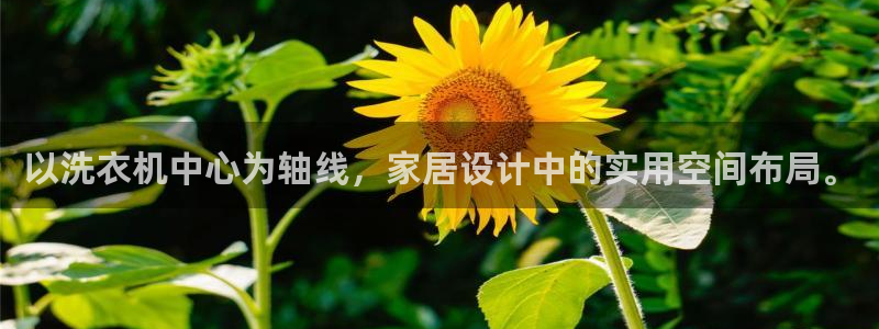 球盟会官方网址入口