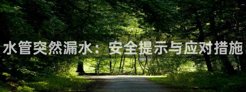 球盟会官方网页登录