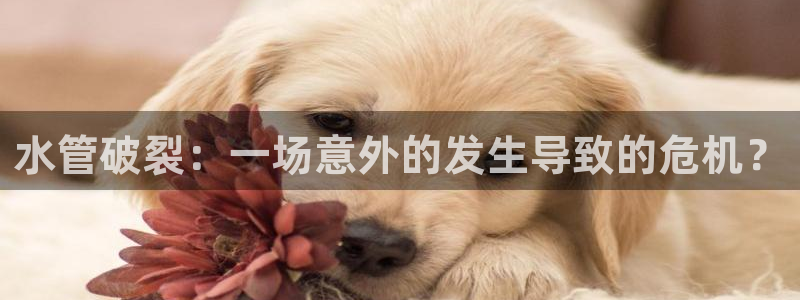 球盟会官方网站