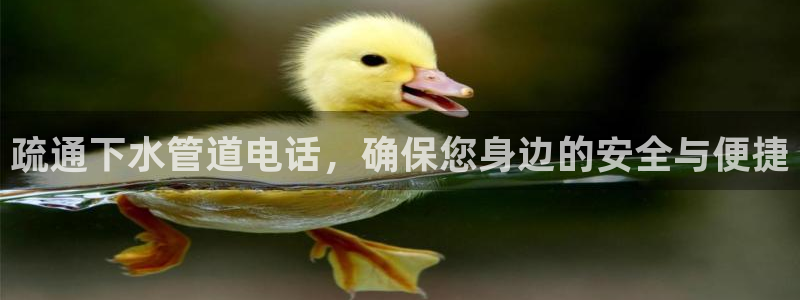 球盟会登陆中心