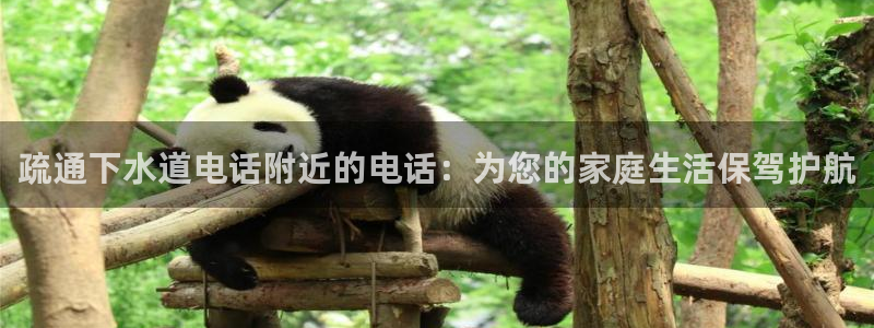 球盟会官方网址入口