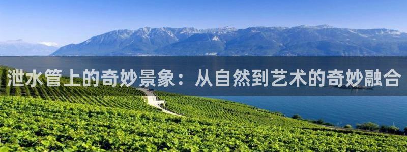 球盟会能退钱吗现在