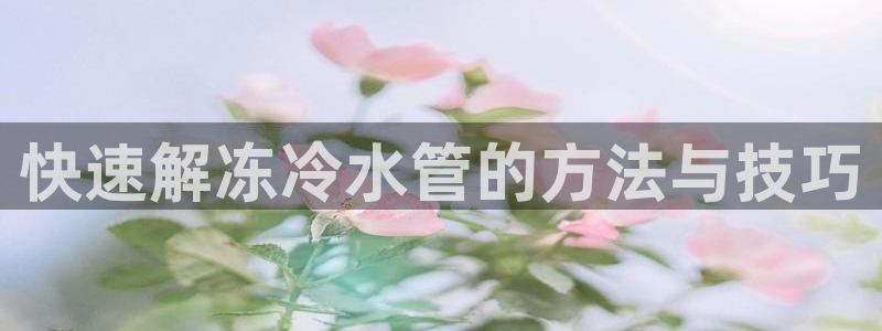 球盟会综合app下载