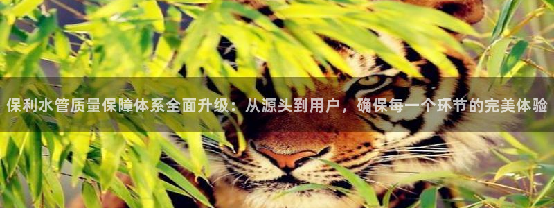 球盟会官网app下载