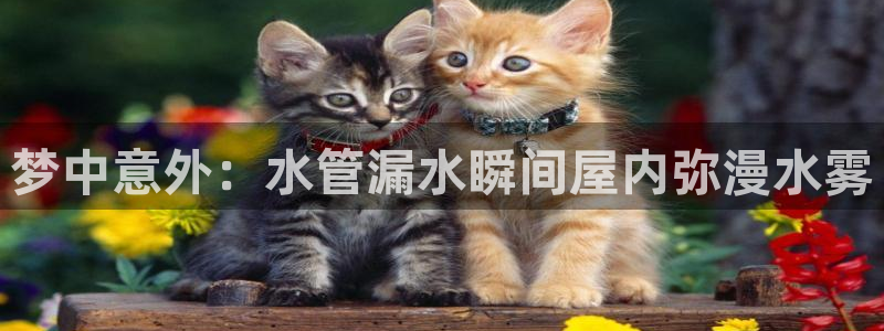 千亿球盟会乐玩