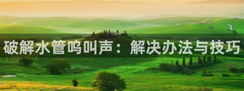 球盟会黑钱