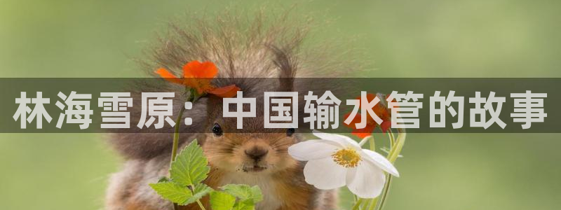 球盟会可以提现么是真的吗