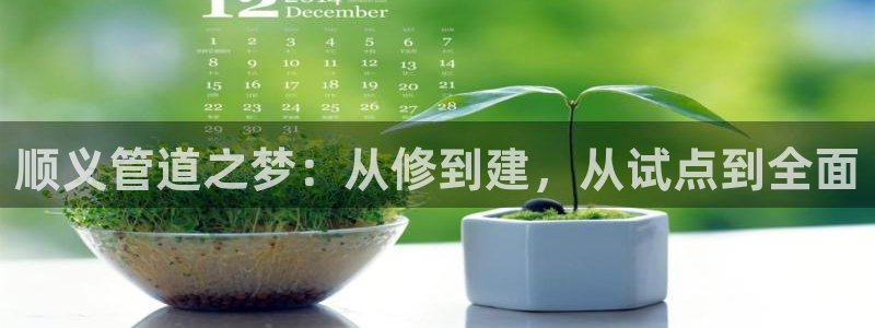 球盟会可以提现么