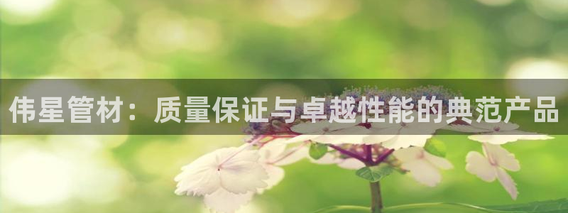 球盟会登陆中心