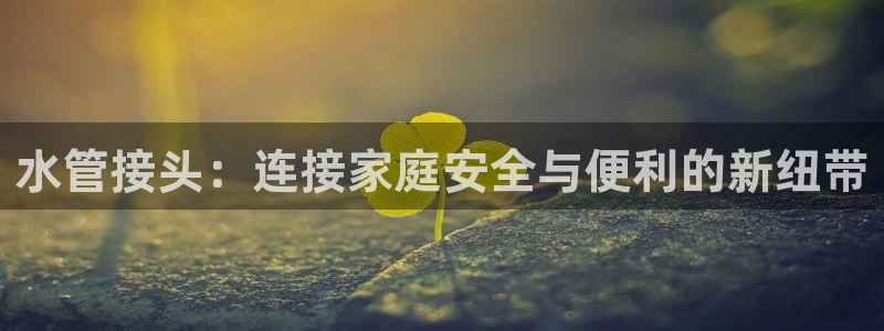 球盟会里面有打牌的嘛