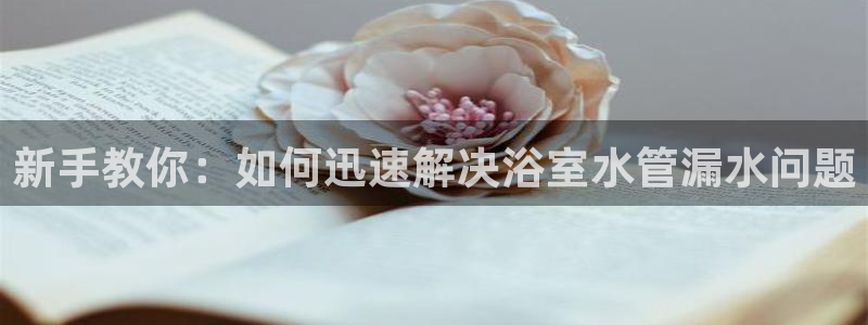 球盟会官方