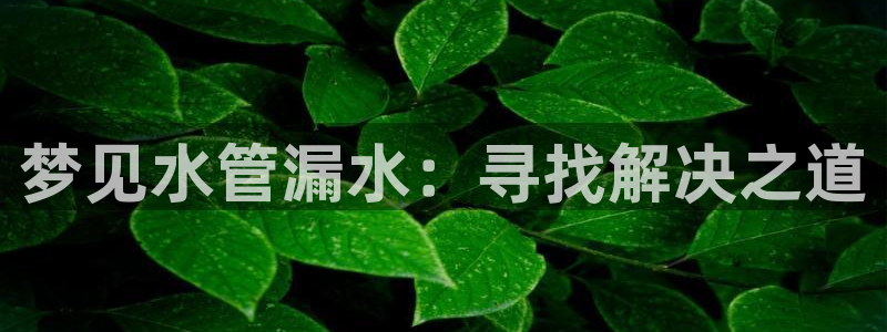 球盟会电子游戏平台