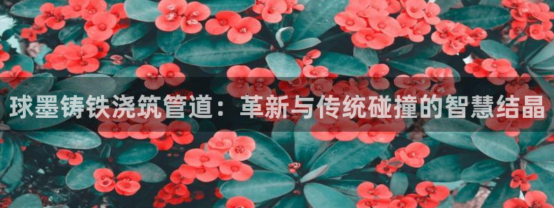 球盟会吧