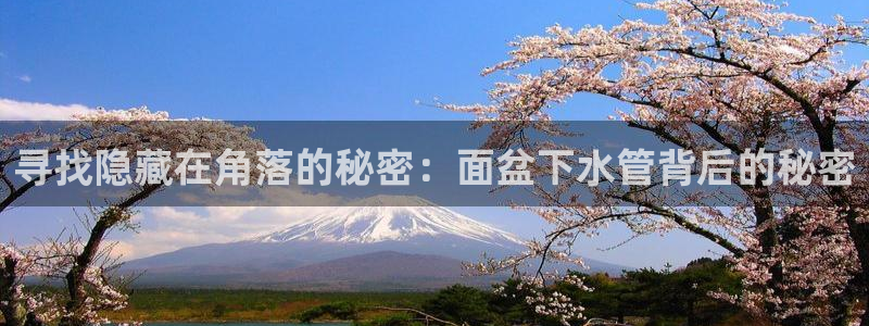 球盟会唯一
