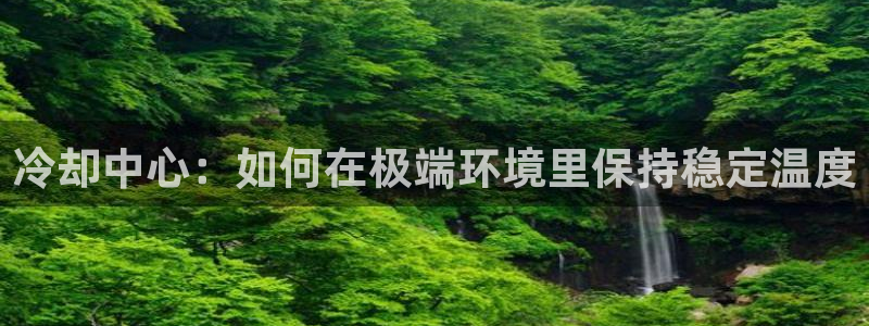 球盟会下款快吗