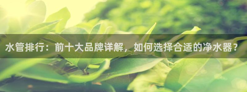 球盟会官网app下载