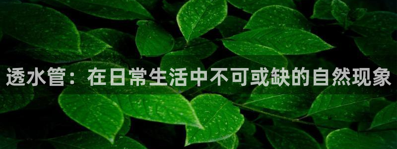 球盟会qmh电子网页版登录