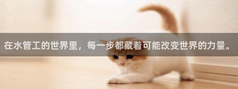 球盟会网页登录app下载地址