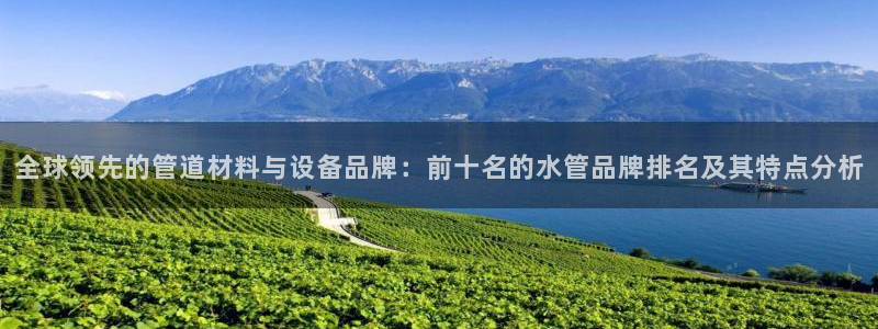 球盟会黑台子吗