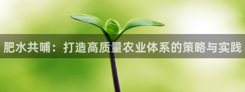 球盟会进不去吗