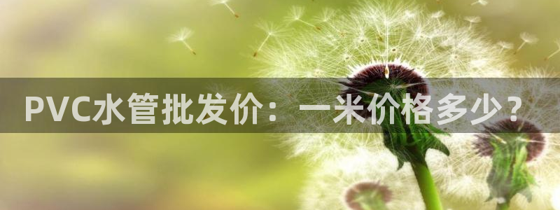 球盟会最新