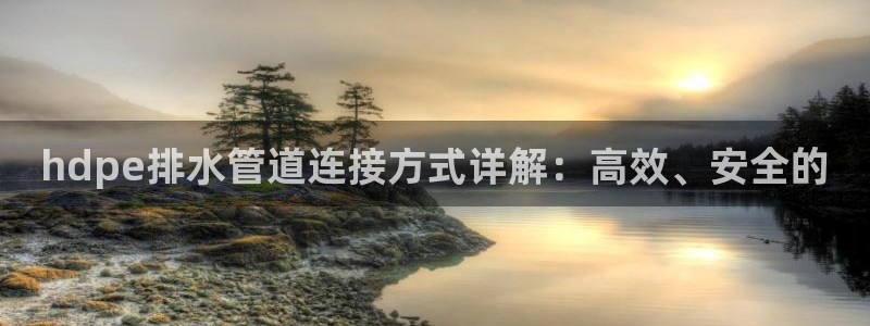 球盟会官方入口