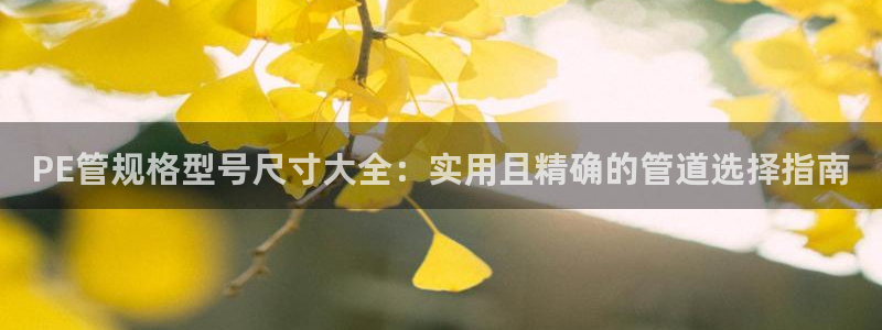 球盟会官方最新入口