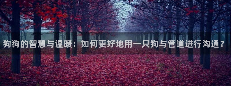 千亿球盟会乐玩