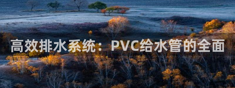 球盟会体育app官方网站