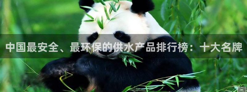 球盟会在线官网