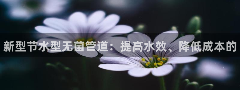 球盟会官网入口