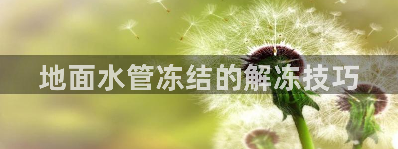 球盟会最新活动