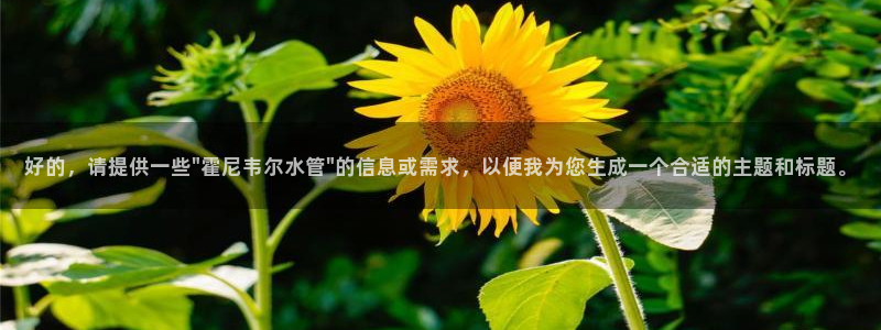 球盟会类似的网站