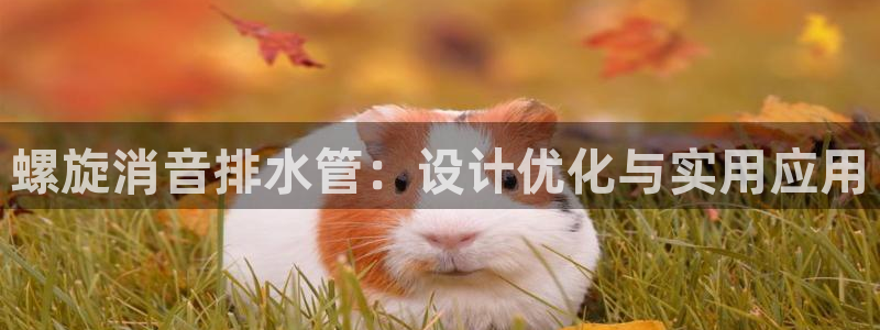 球盟会游戏几点玩合适